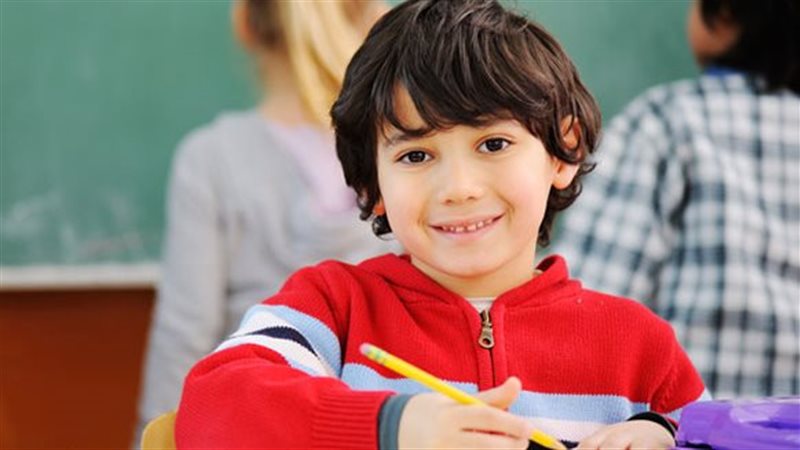 المدرسة المصرية الدولية