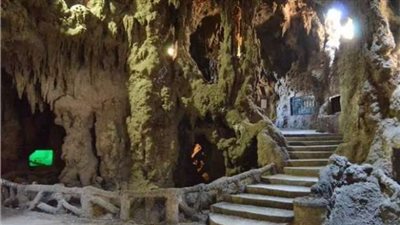 الزراعة تتابع سير عمل إدارات التفتيش على اللحوم وتقديم الخدمات لزوار حدائق الأسماك والحيوان 