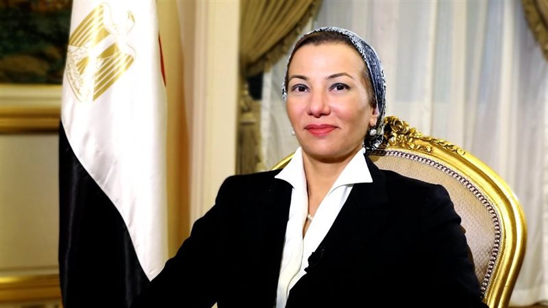  ياسمين فؤاد وزيرة