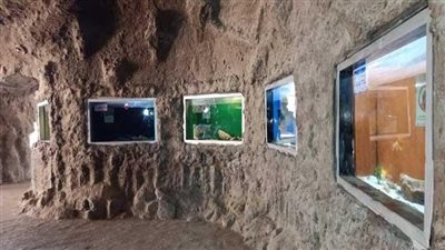 «الأعلى للآثار» يستكمل مسيرة «شطب التاريخ».. من وكالة العنبريين إلى قصر ميخائيل لوقا 