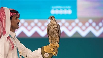 آلاف الريالات.. مزاد الصقور في السعودية يسجل أرقام قياسية | فيديو