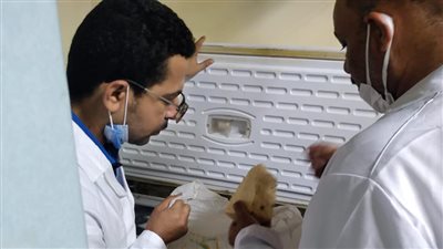 بيطري الوادي الجديد يضبط لحوما ومجمدات غير صالحة للاستهلاك الآدمي