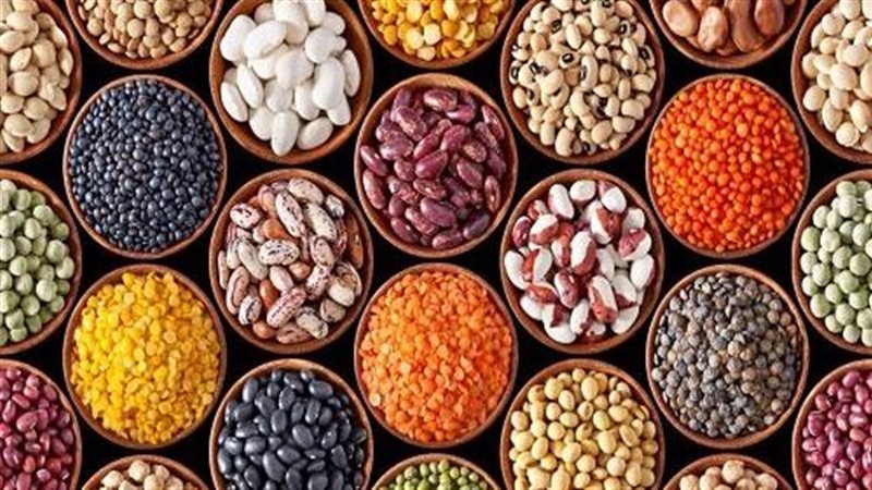 أسعار البقوليات اليوم