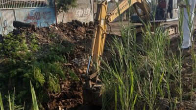 إزالة 178 حالة تعد بالمباني ضمن الموجة الـ ١٨ بالدقهلية 