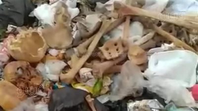 العثور على بقايا عظام وجماجم بشرية بمقلب قمامة بطنطا|فيديو