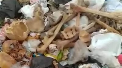 بلاستيك لطلاب الطب.. حي أول طنطا يكشف تفاصيل العثور على بقايا عظام 