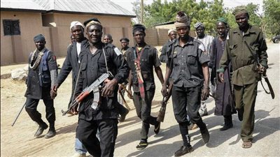 استسلام 13 ألفا من مسلحي بوكو حرام بنيجيريا