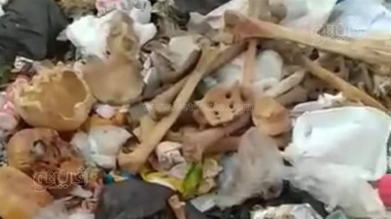 العثور على بقايا
