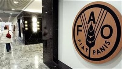 فاو: سجلنا أعلي مستوي لزيادة الأسعار منذ 1990