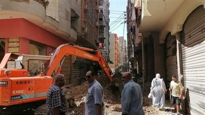 رصف ورفع كفاءة شوارع غرب المنصورة |صور