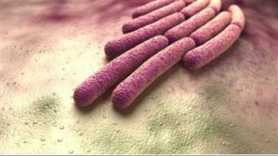 تصيب الأطفال بالتسمم.. 9 نصائح للوقاية من جرثومة شيغيلا