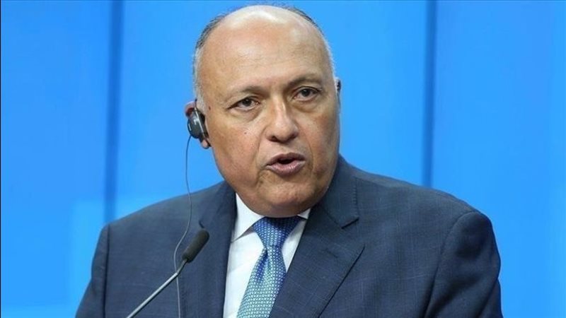 سامح شكري وزير الخارجية