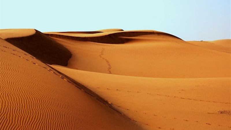 تفسير حلم الرمل في