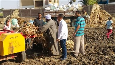 حملات مكثفة بقرى أسيوط للتصدي للحرق المكشوف