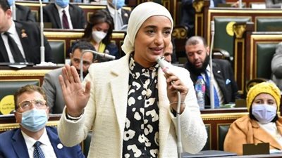 نائبة: قانون مشاركة القطاع الخاص يستهدف مواكبة النظم الاقتصادية العالمية