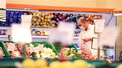 الغرف التجارية تنتظر انطلاق البورصات السلعية.. وتوقيع عقود لزراعة الذرة الصفراء والتوسع في الأعلاف