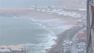 سقوط أمطار خفيفة على الإسكندرية | صور 