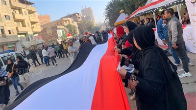 أغاني ورقص بالأعلام، احتفالات المصريين أمام اللجان الانتخابية بالجيزة (فيديو وصور)