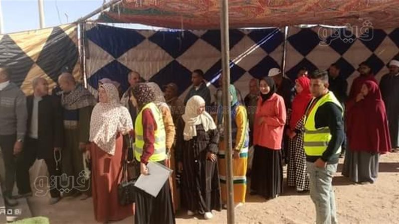 لجان الانتخابات الرئاسية