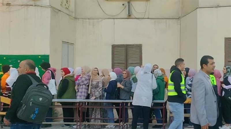 الانتخابات، فيتو