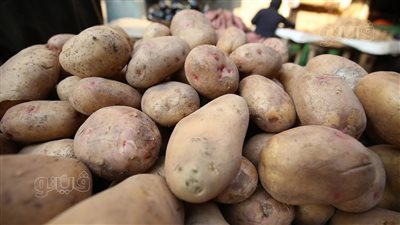 أسعار الخضراوات اليوم، 3 جنيهات انخفاضًا في سعر البطاطس بسوق العبور