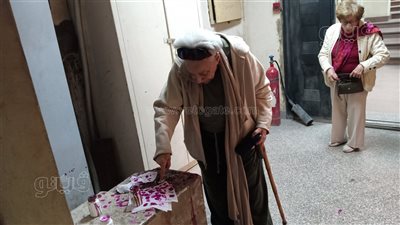 الانتخابات الرئاسية 2024، كبار السن يتصدرون المشهد الانتخابي بالجيزة (صور)