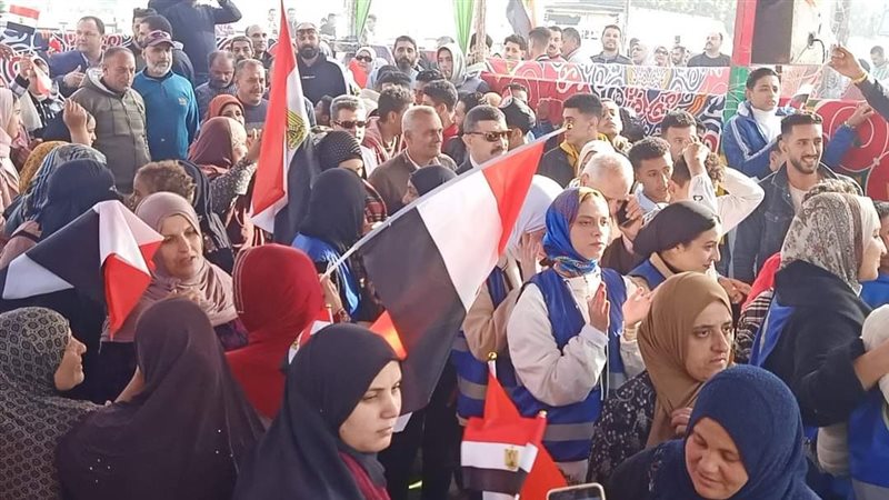 السيدات أمام اللجان