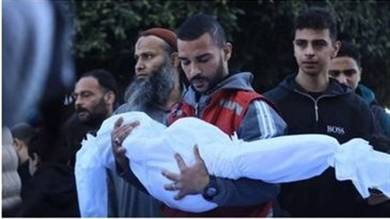 غزة، فيتو