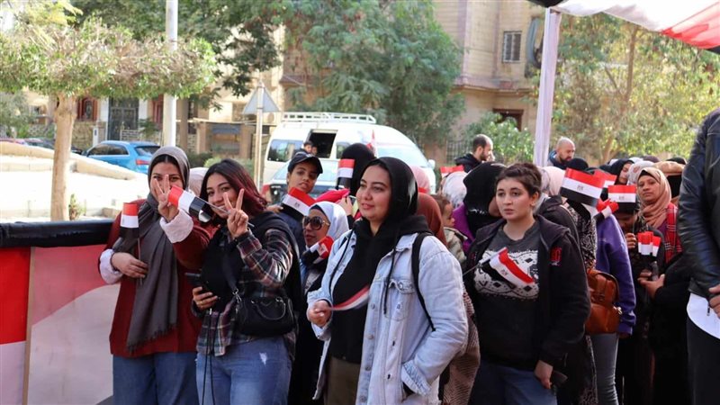 انتخابات، فيتو