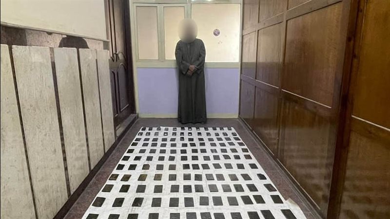 مخدر الحشيش،فيتو