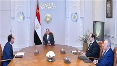 السيسي: التعاون مع دول حوض النيل أحد أهم ثوابت العمل المصري الأفريقي المشترك