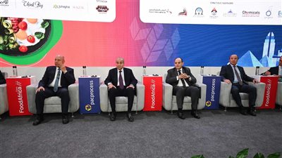 وزير التجارة والصناعة: نعمل علي جذب الاستثمارات  في قطاع الصناعات الغذائية