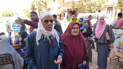 ذوو القدرات الخاصة وكبار السن يشاركون في انتخابات الرئاسة بالوادي الجديد 