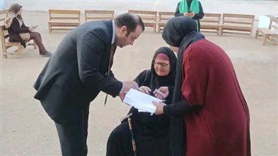 قاضٍ يساعد مسنة على الإدلاء بصوتها لعجزها عن الصعود إلى لجنتها في الشرقية (صور)