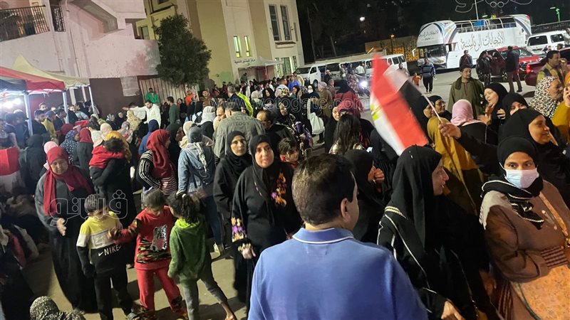 إنتخابات، فيتو