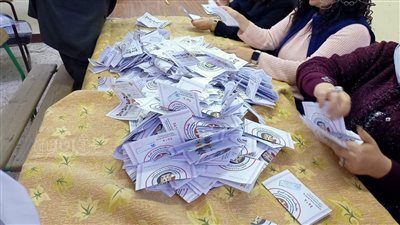 أول تعليق لحملة السيسي بعد انتهاء التصويت في آخر أيام الانتخابات الرئاسية 