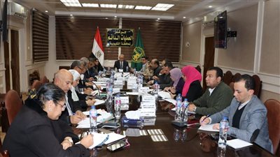 الانتخابات الرئاسية 2024، محافظ القليوبية: انتهاء التصويت بالمحافظة وبدء الفرز باللجان الفرعية