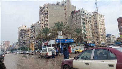 أمطار متوسطة تضرب أرجاء محافظة الدقهلية (فيديو وصور) 