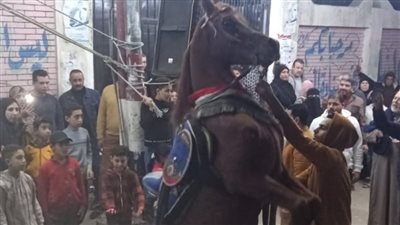 رقص الخيل يتصدر المشهد ليلا أمام لجان الانتخابات بالدقهلية 