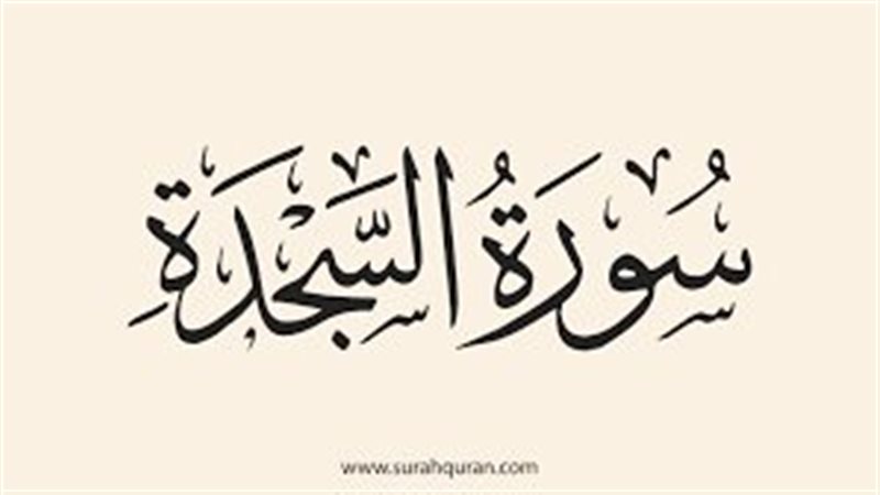  آراء الفقهاء في