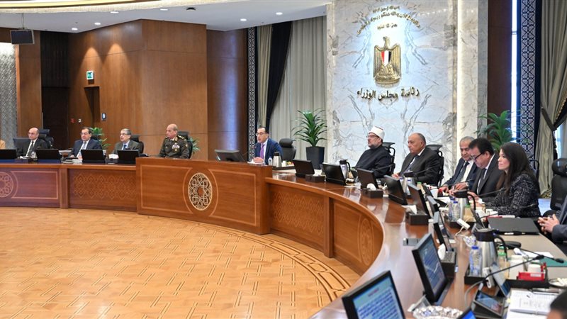 مجلس الوزراء،فيتو
