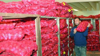 بعد قرار مصر بوقف التصدير، ارتفاع جنوني في أسعار البصل بالكويت