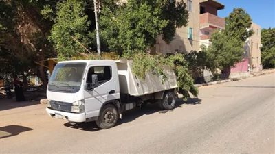 حملات نظافة وتجميل مكثفة ورفع آثار لجان الانتخابات بواحة الخارجة (صور)