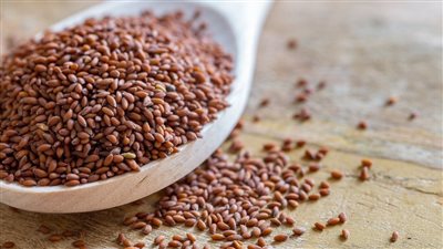 فوائد حب الرشاد، تعالج كسور العظام سريعا وتعزز صحة القلب 