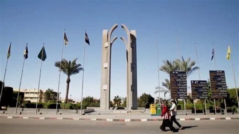 جامعة حلوان، فيتو