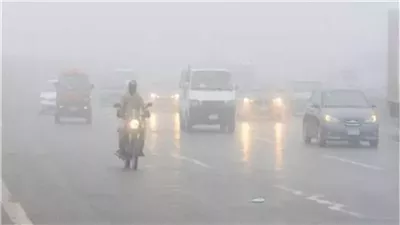 نشرة أخبار مصر.. تحذير من الشبورة الكثيفة على هذه الطرق، وتدريس الإيطالية بالمدارس الحكومية كلغة ثانية في العام الجديد 