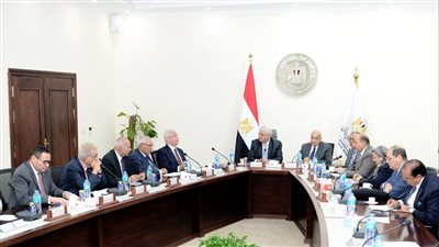 رئيس مجلس الشيوخ ومحلب وتاج الدين وعبدالخالق وأسامة ربيع رؤساء لمجالس أمناء 5 جامعات أهلية