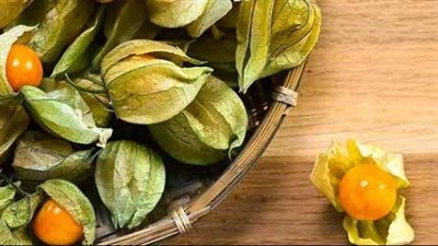 فوائد الحرنكش، يقوى العظام والمفاصل والنظر ويحارب السرطان 