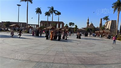 أسراب الحمام والمريدين، إقبال هائل على ساحة ابوالحجاح في الأقصر (بث مباشر)