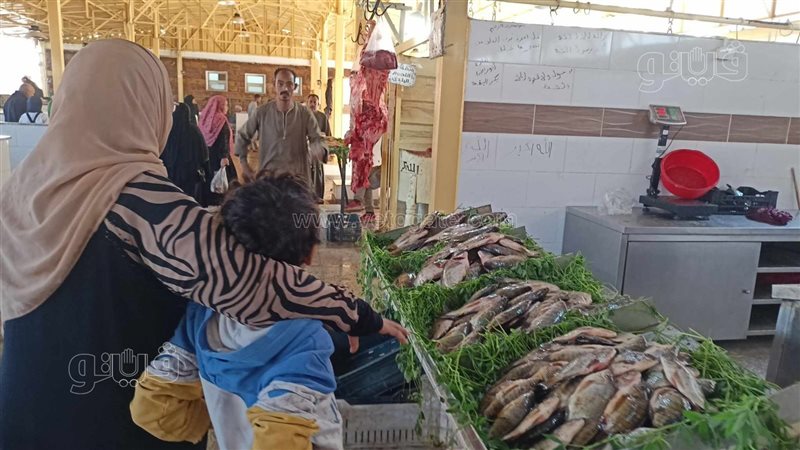  السمك، فيتو